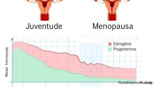 Hormônios e Menopausa