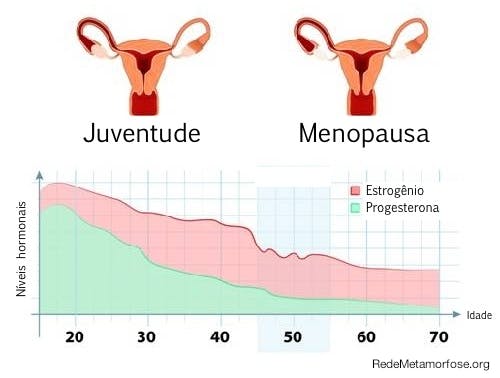 Hormônios e Menopausa